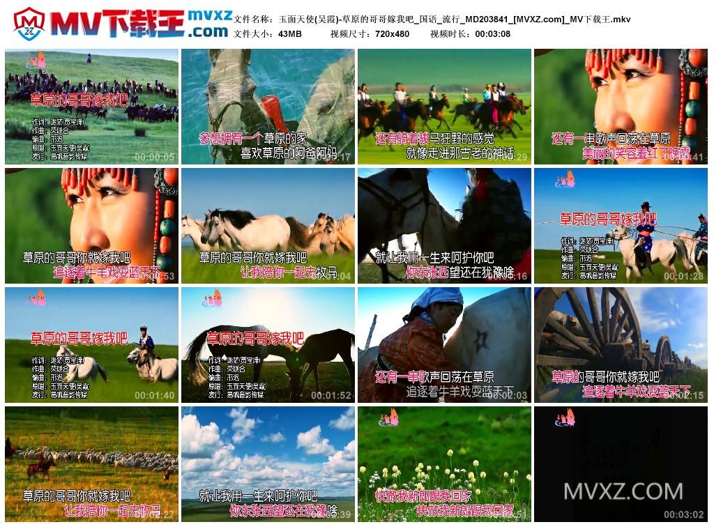 玉面天使(吴霞)-草原的哥哥嫁我吧_国语_流行_MD203841